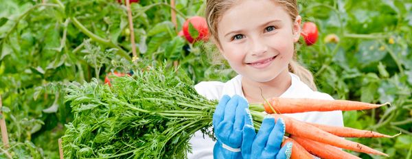 Nutrition Gardening® – Reclaiming Responsibility for Your Own Health – Part 2